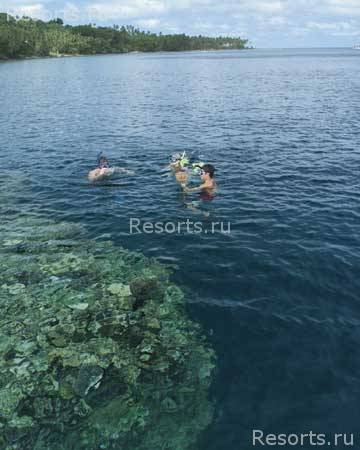 Jean-Michel Cousteau Fiji Islands Resort 32